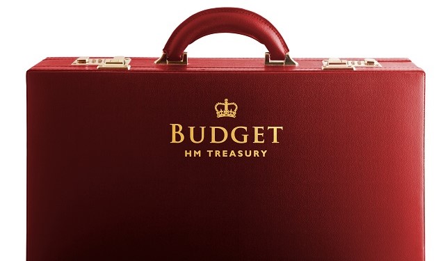 Budget bag