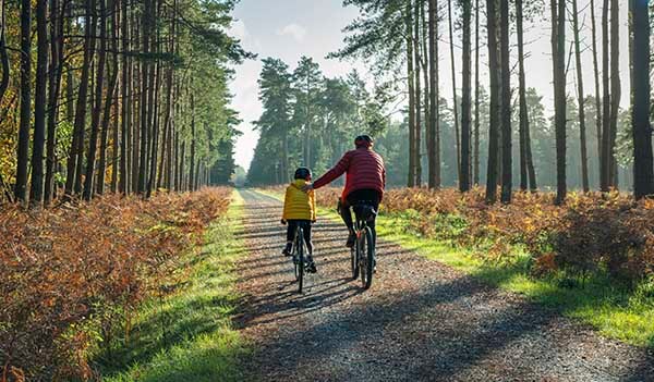 Father and child on an autumnal bike ride through a forest