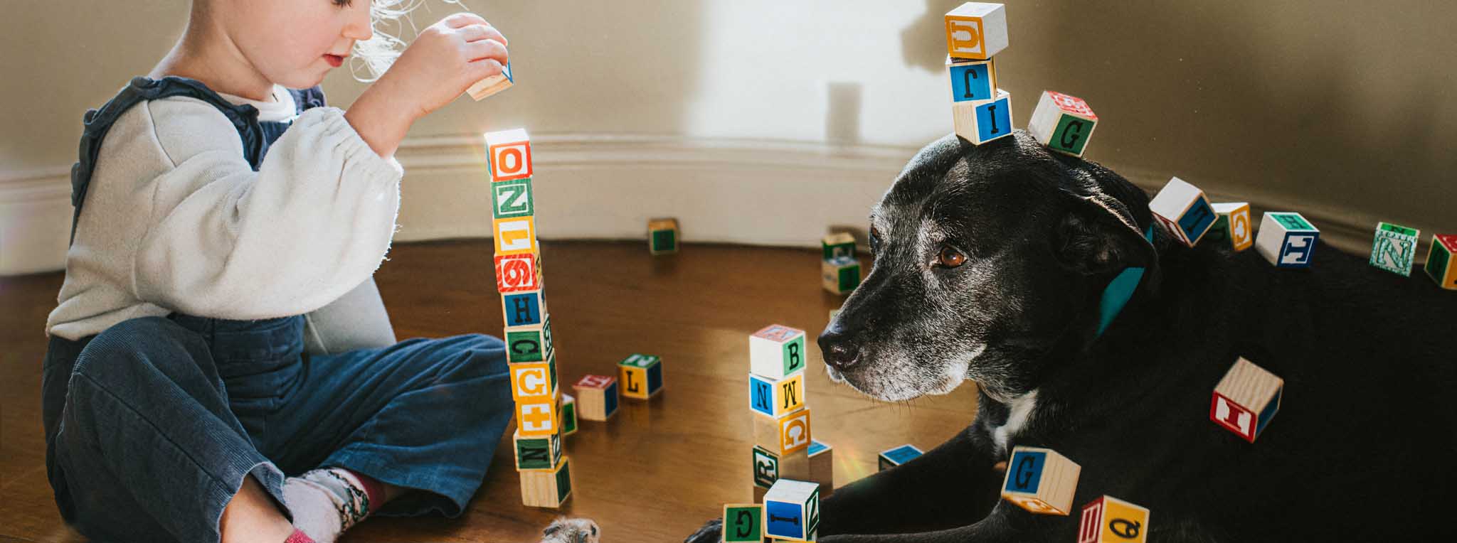 Child and dog with building blocks