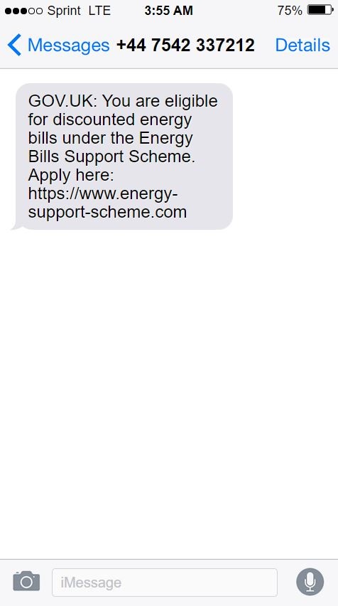 Scam text example