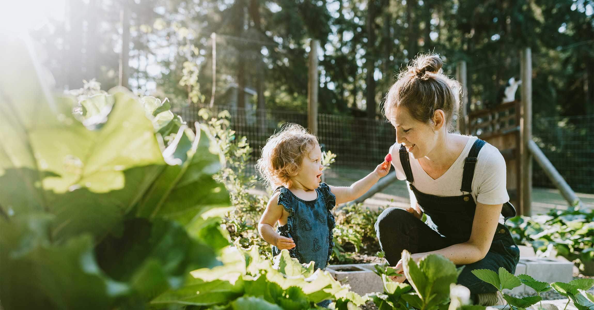 Child giving mother a strawberry in garden