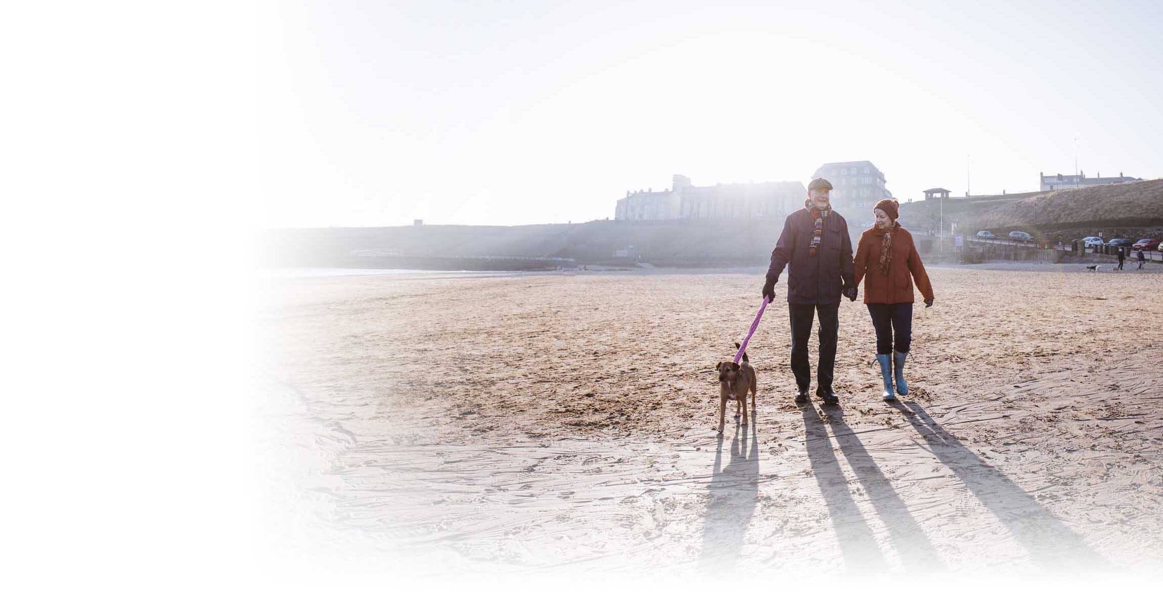 Man and woman walking dog on beach