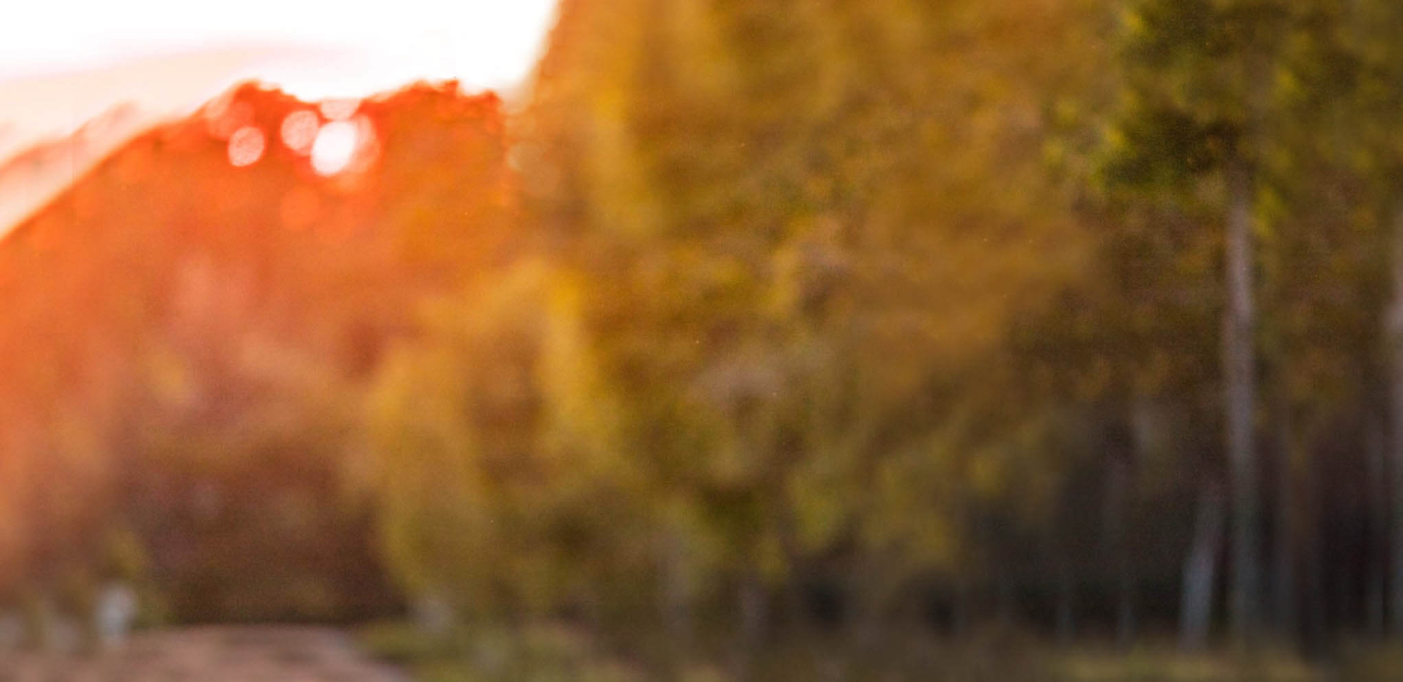blurred orange and brown background